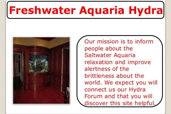 Вход в кракен чтобы купить меф