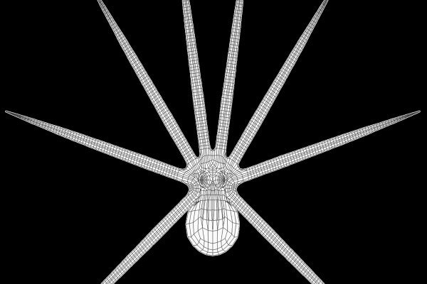 Ссылки для даркнета