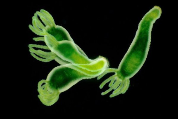 Аккаунты кракен