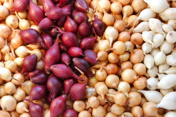 Кракен вход kr2web in