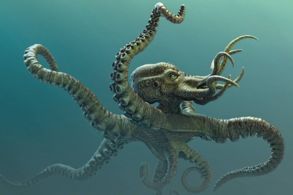 Kraken в россии