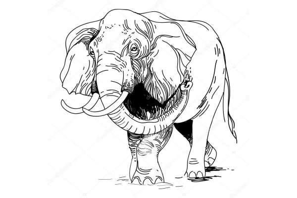 Как восстановить аккаунт кракен