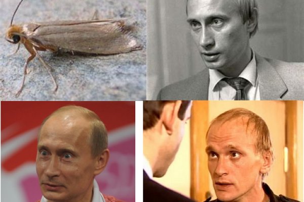 Кракен это сайт что продают